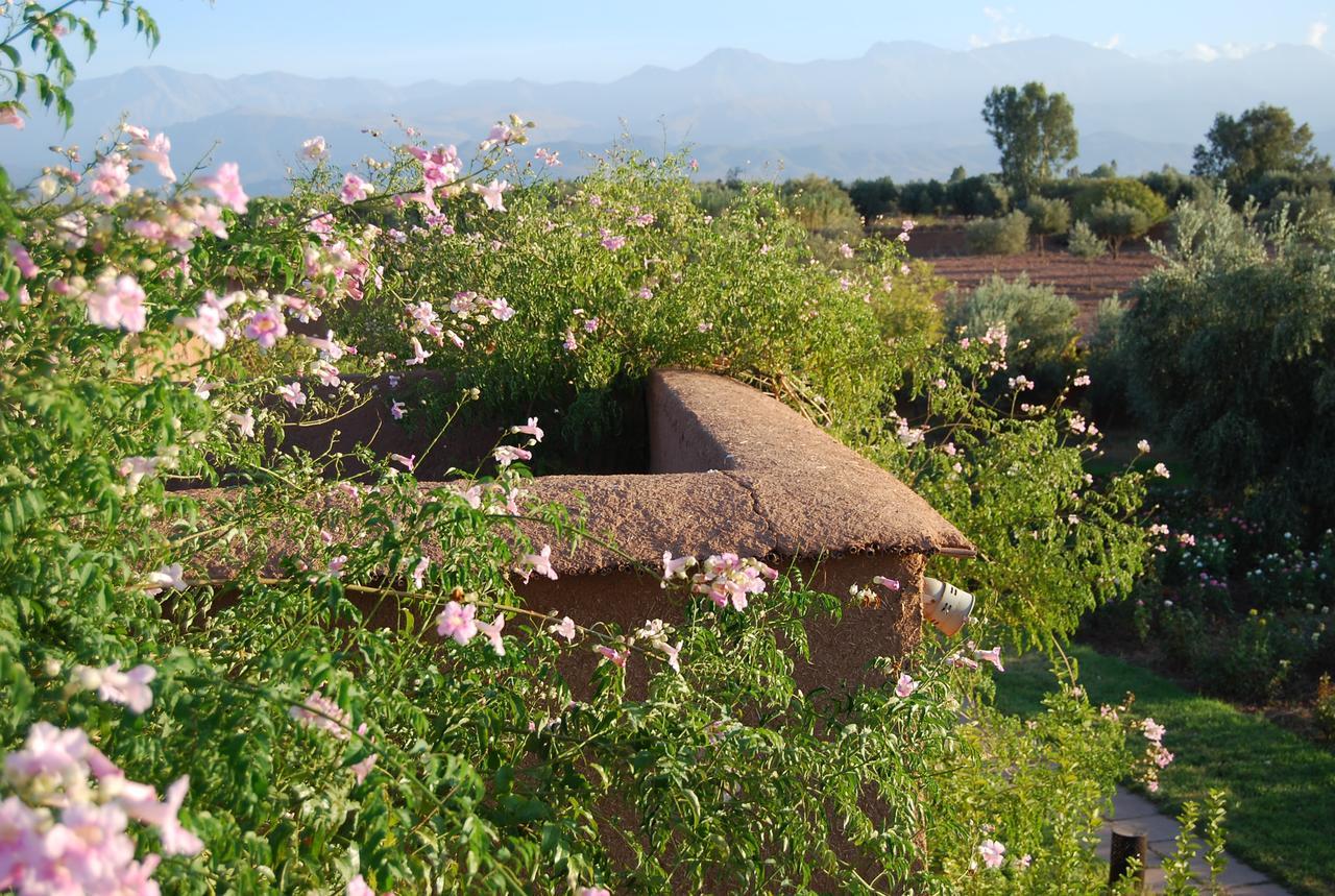 Ecolodge Quaryati Marrakech Douar Tounsi Kültér fotó